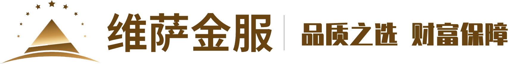 深圳维萨金服信托公司